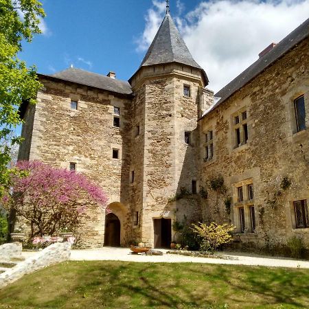 Chateau De Chanze Faye-d'Anjou 외부 사진