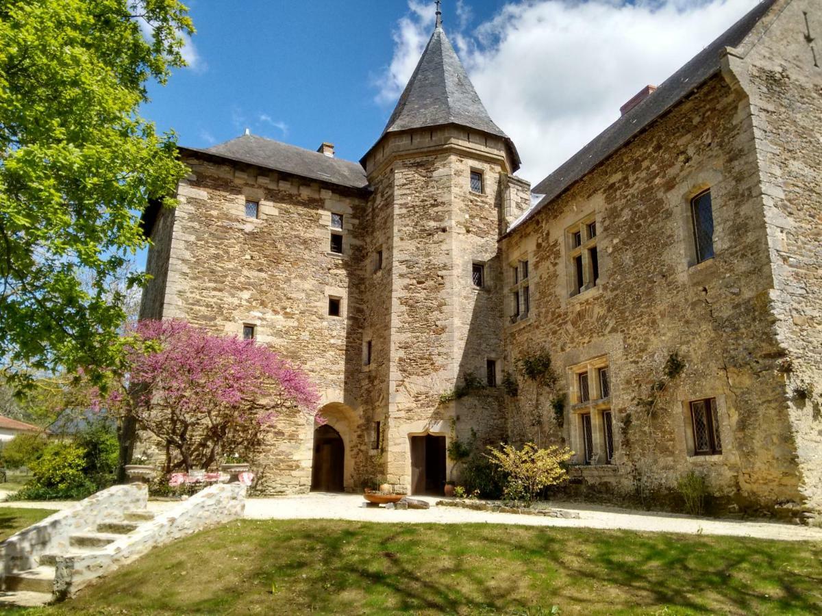 Chateau De Chanze Faye-d'Anjou 외부 사진